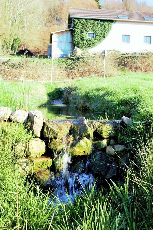 Villa Au Temps de la Source à Raon-aux-Bois Extérieur photo