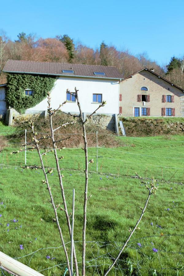 Villa Au Temps de la Source à Raon-aux-Bois Extérieur photo